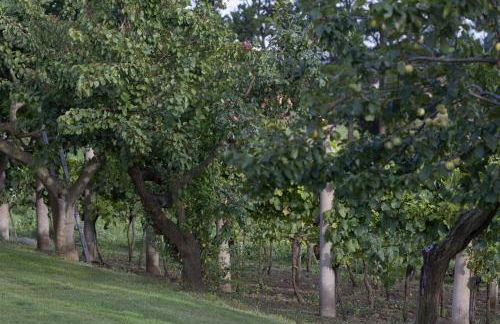 Agriturismo Bisenzio - Foto 43