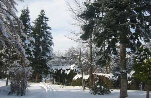 Ferienhaus im Park - Foto 28