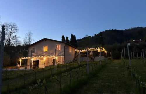 Agriturismo Tenuta La Fratta - Foto 16