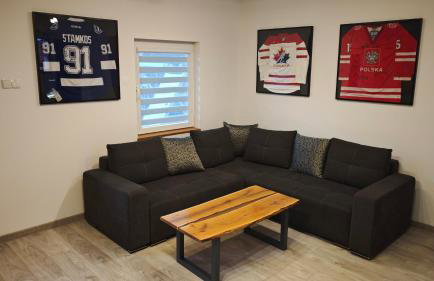 Ranczo Bieszczady 2 - Domek z Sauną i Jacuzzi - Foto 5