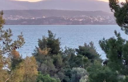 Studios Voula - Foto 9