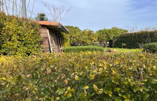 La Casetta di Lollò - Foto 58