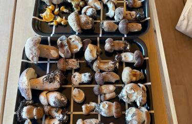 Szlak By Trafił - Photo 80