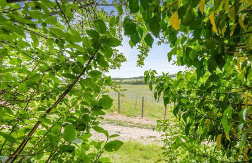 1 Bed in Luddesdown oc-d32118 - Foto 6