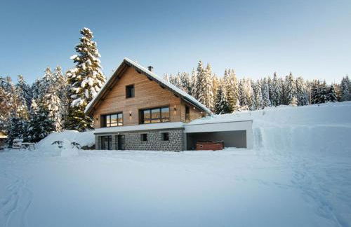 Chalet familial spacieux avec SPA, salle de jeux, près des pistes - 14 pers, Vosges - FR-1-589-366 - Foto 17