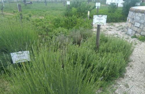 Masseria Fontana dei Fieri - Foto 59