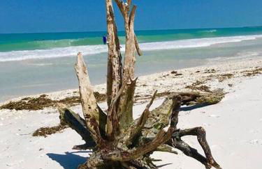 5* 3 BR 3 BA Home 4 min walk to beach & JW Marriott w/heated pool - Foto 52