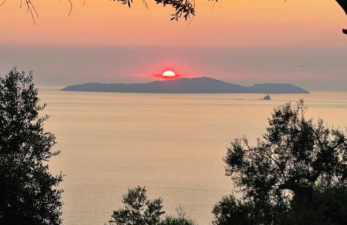 ARILLAS HILLSIDE VILLA 3 - Provence - Foto 46