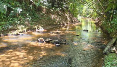 Sítio Com riacho particular em Cachoeira de Macacu - Foto 1