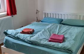 Mecklenburgische Seenplatte - FH mit optionalem Steg und Ruderboot - Foto 22