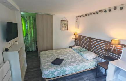 Studio Marmotte, quartier marais, terrasse en rez de jardin, matelas confort - Foto 1