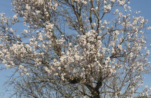 Les Gîtes De La Chérine - Foto 12