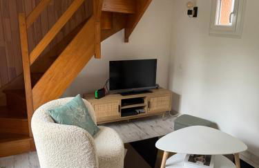 Les Sternes - Foto 19