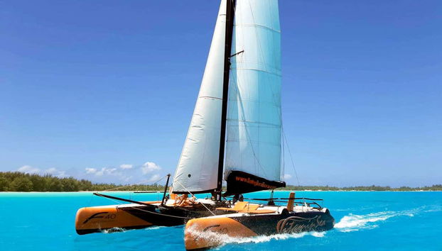 Catamarano dell'attività