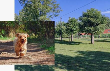 Holiday Home Bojko - Foto 2