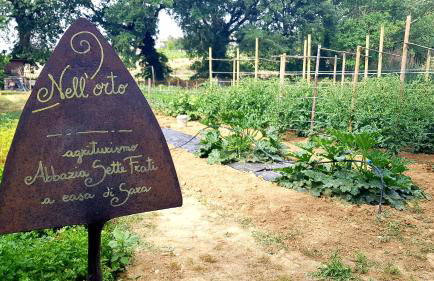 Agriturismo Abbazia Sette Frati a casa di Sara - Foto 33