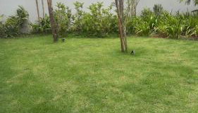 Apto Studio 413 Soul Brooklin - Foto 5