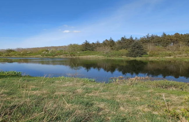 4 Person Holiday Home in Toftlund - Foto 23