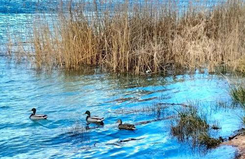 El Paraíso Del Rey - Foto 75