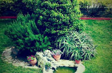 Kos Island Studios - Foto 33