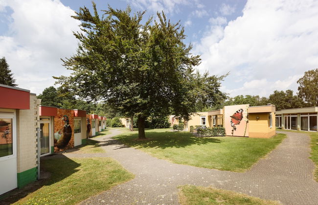 Vakantiepark Dierenbos - Photo 26