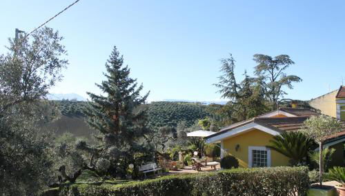 Bloemenhuis - Foto 2, Garden, Garden view