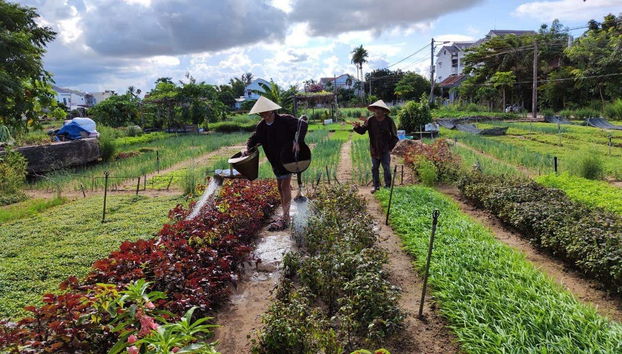 Taller de farolillos en Hoi An - Foto 3