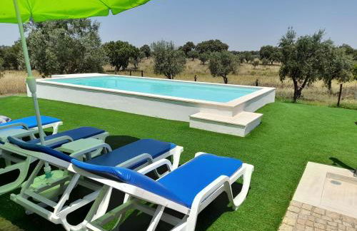 Monte do Rochinha - Foto 68