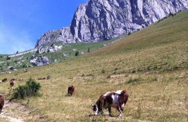 The Hideaway - Foto 25