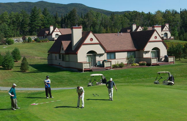 Townhomes at Bretton Woods - Photo 24