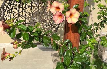 Casa de Praia com Piscina no Pontal do Ipiranga - Foto 19