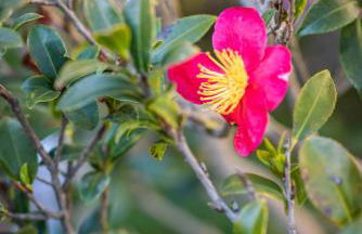 The Fairways - Foto 19