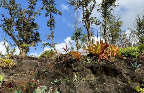 Exotic Garden cottage at amazing volcano fissure - Foto 67
