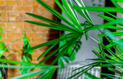 Jungle House Luxury Stays - Columbus Downtown Short North - Foto 134