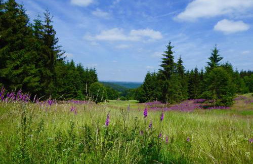 Natururlaub Frankenau - Foto 25