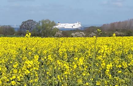 Am Pool und Strand 8 - Photo 1
