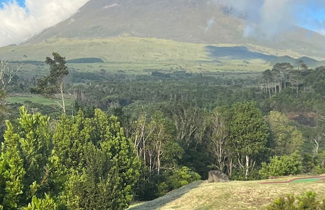 Pico Terrace - Foto 31