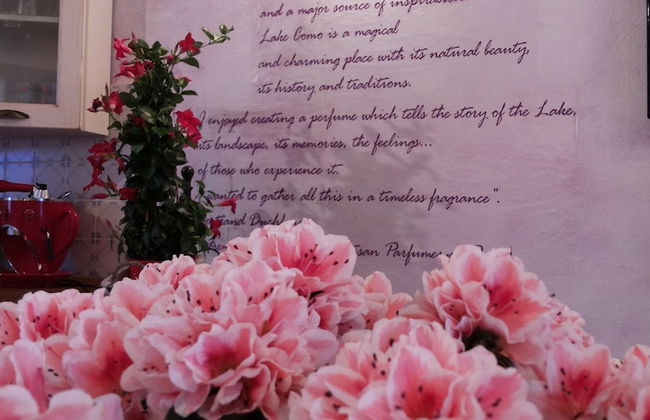 Azalea & Glicine House - Foto 4