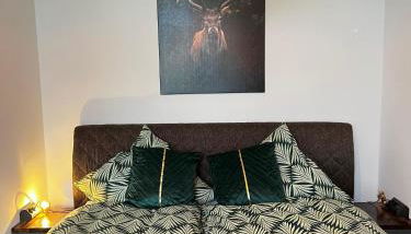 CASA CLARA - Stilvolle Altstadtwohnung nahe Dom & Elbe - Foto 5