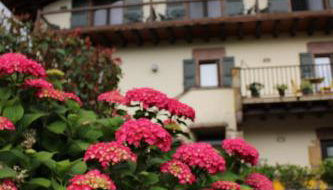 Casa Rural Aldekoa - Foto 5