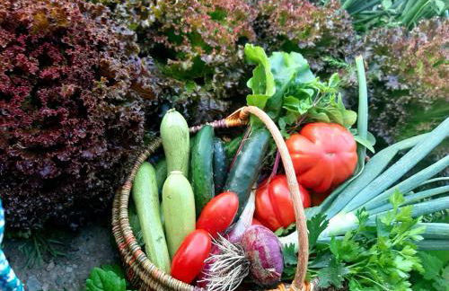 La Maison de Joanna 2 - Foto 41