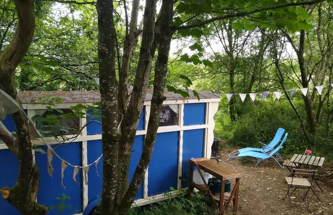 Pilgrims Shepherd's Hut - Goosewell Glynn Glamping - Foto 15