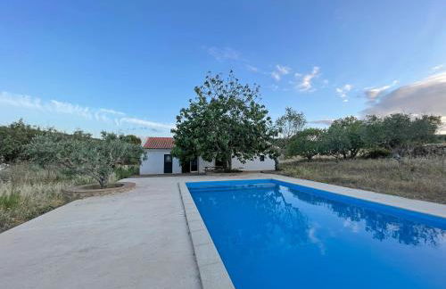 Tapada da Figueira by NaturAlegre - Foto 10