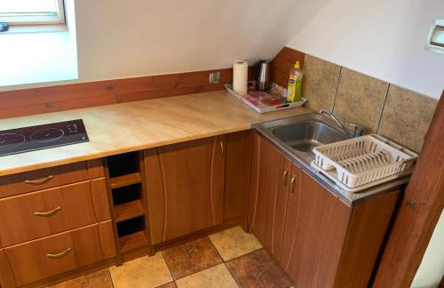 Noclegi Zielona Gęś - Foto 39