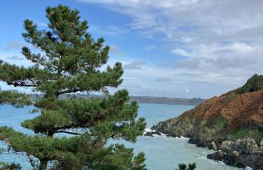 Maison Plestin proche plage et GR 34 avec Jardin - Foto 24