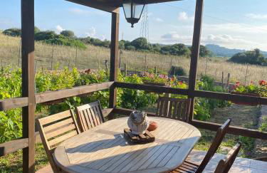 Casa Vittoria - Foto 29