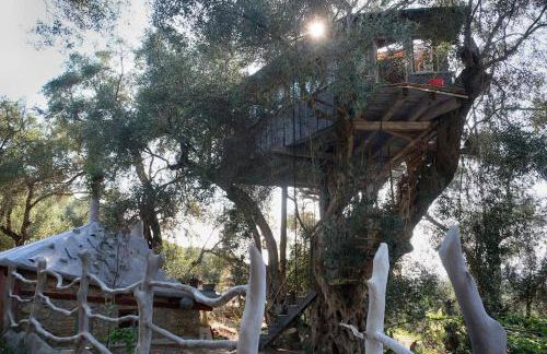 Margaritis's Treehouse - Foto 24