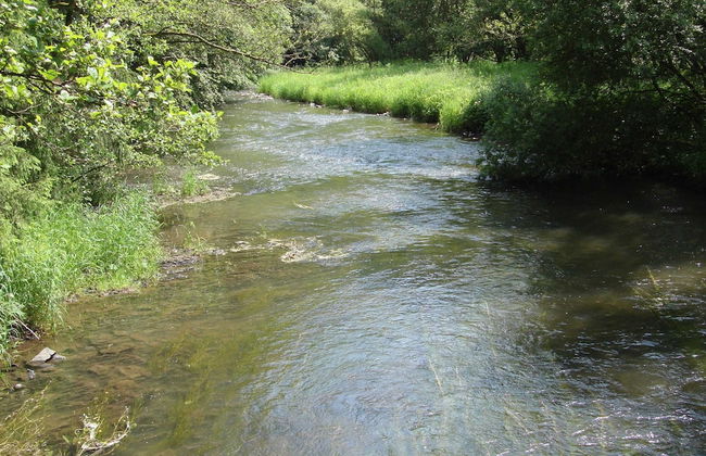 Gemutliches Appartement in Hallenberg mit Terrasse - Foto 15