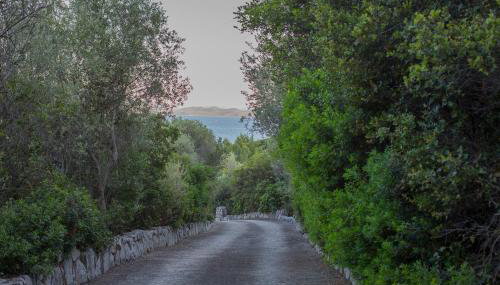 Seafront Paradise - Photo 2, Garden