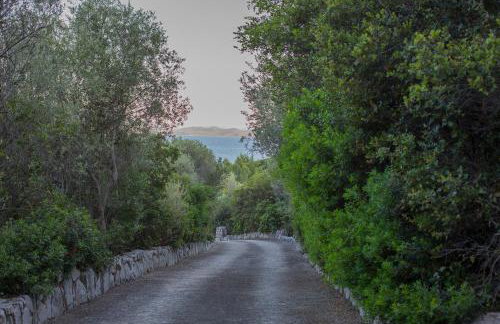 Seafront Paradise - Foto 2